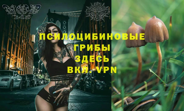 гидра Абдулино
