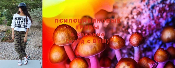гидра Абдулино