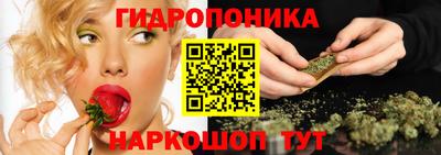 шишки Ставрополь