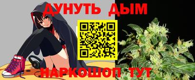 шишки Ставрополь