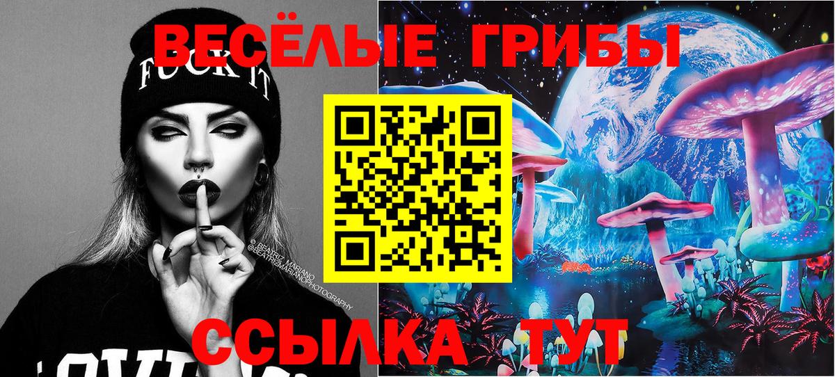 Тутаев  Псилоцибиновые грибы Magic Shrooms  Вход с VPN 