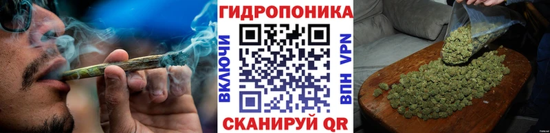 Бошки марихуана план  как найти наркотики  Тутаев 